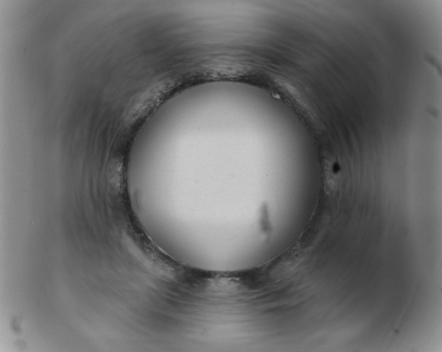 X0000103280451200809121949