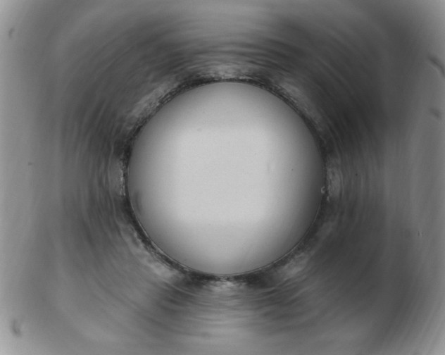 X0000103280453200809121949