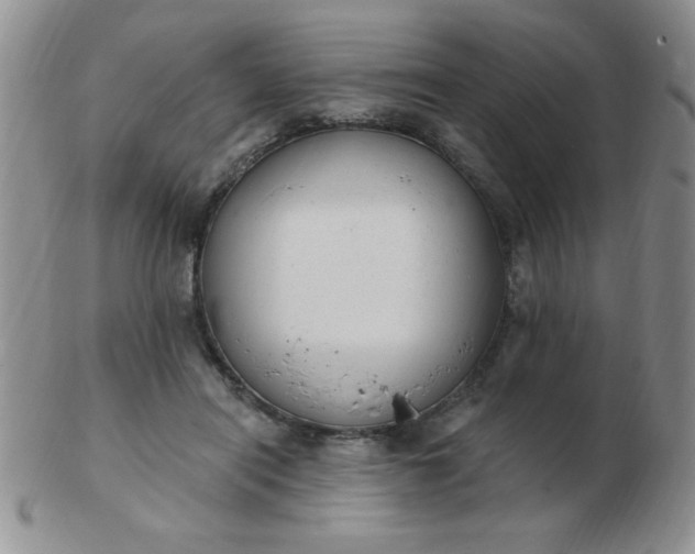 X0000103280454200809121949