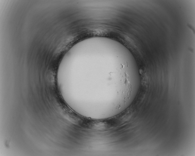 X0000103280456200809121949