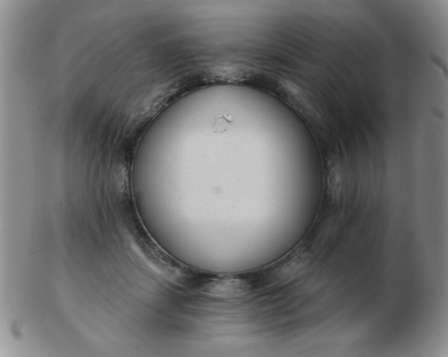 X0000103280459200809121949