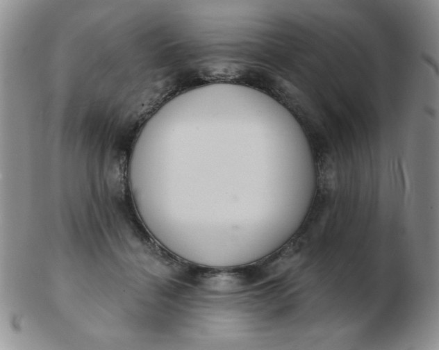 X0000103280460200809121949