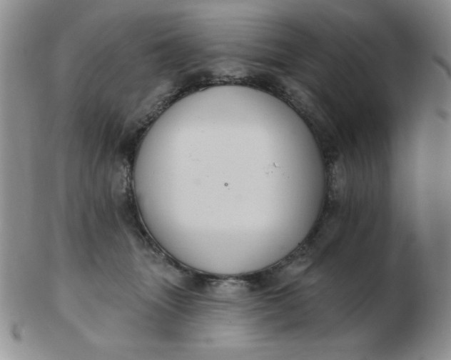 X0000103280463200809121949