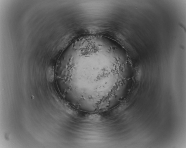 X0000103280471200809121949