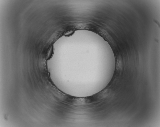 X0000103280473200809121949