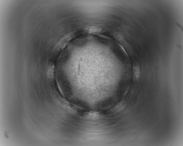 X0000103280475200809121949