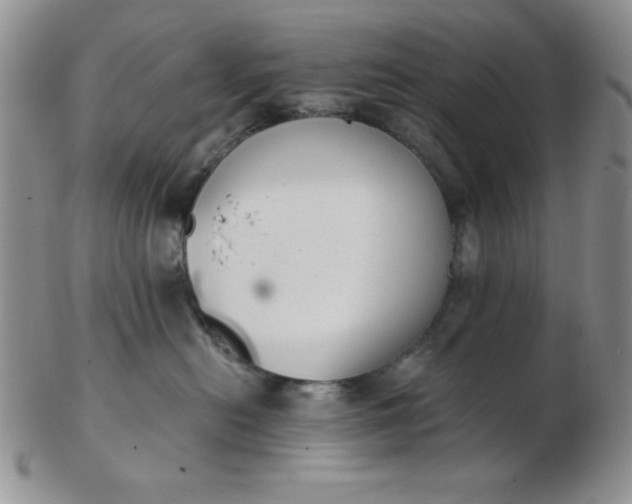 X0000103280478200809121949