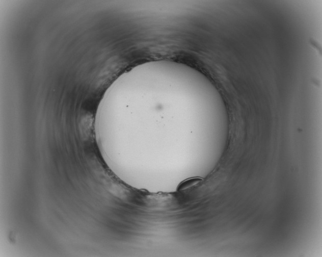 X0000103280480200809121949