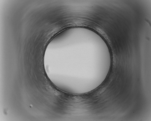 X0000103280481200809121948