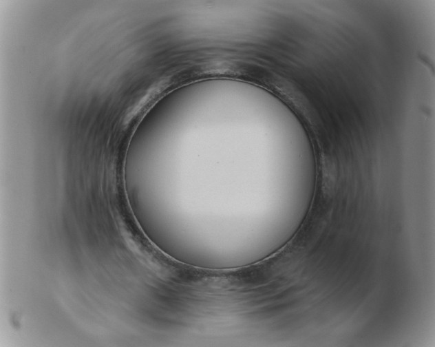 X0000103280482200809121948