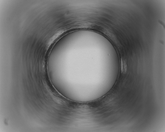 X0000103280483200809121948