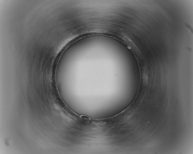 X0000103280484200809121948