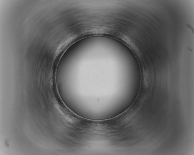 X0000103280486200809121948