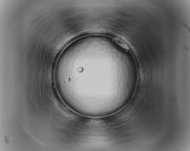 X0000103280487200809121948