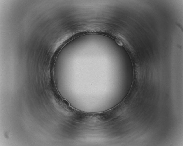 X0000103280488200809121948