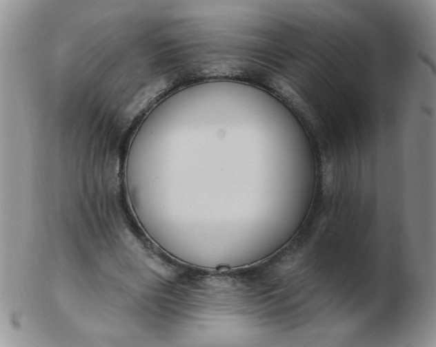 X0000103280490200809121948