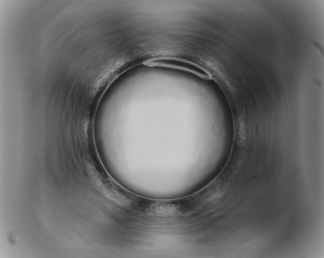 X0000103280491200809121948