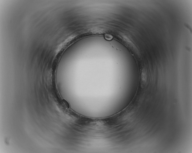 X0000103280492200809121948