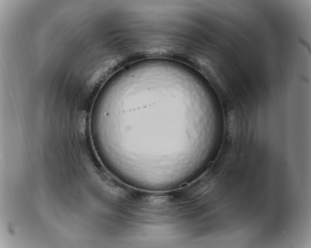 X0000103280495200809121948