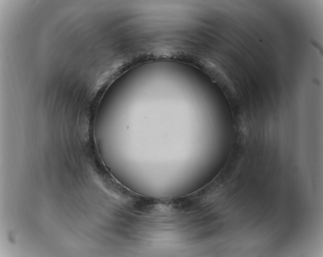 X0000103280496200809121948