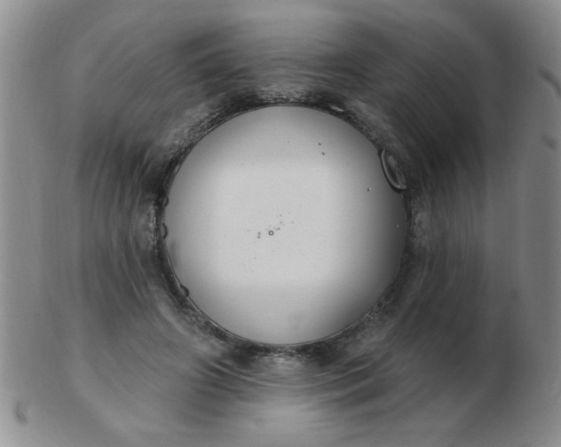 X0000103280498200809121948