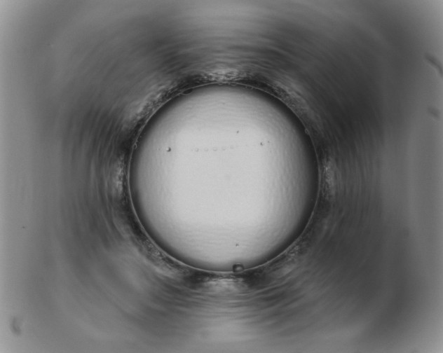 X0000103280499200809121948