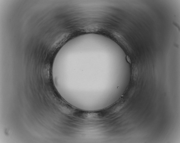 X0000103280501200809121948