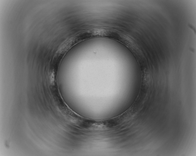 X0000103280502200809121948