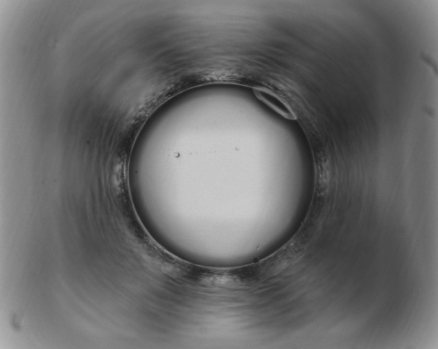 X0000103280503200809121948