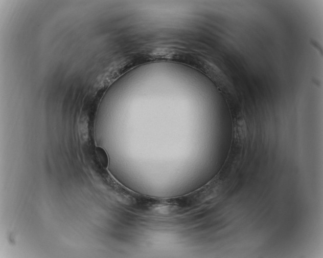 X0000103280504200809121948