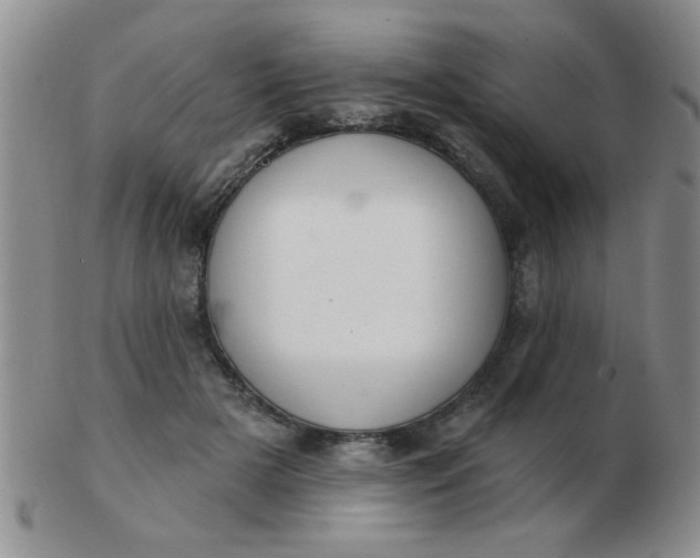 X0000103280505200809121948