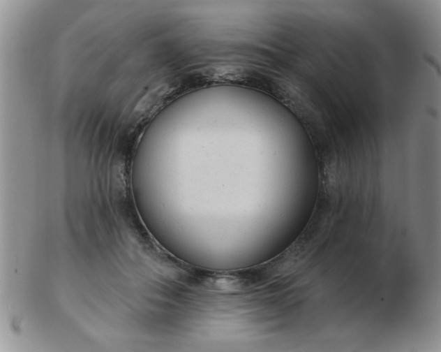 X0000103280506200809121948