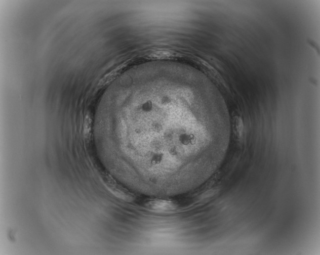 X0000103280507200809121948