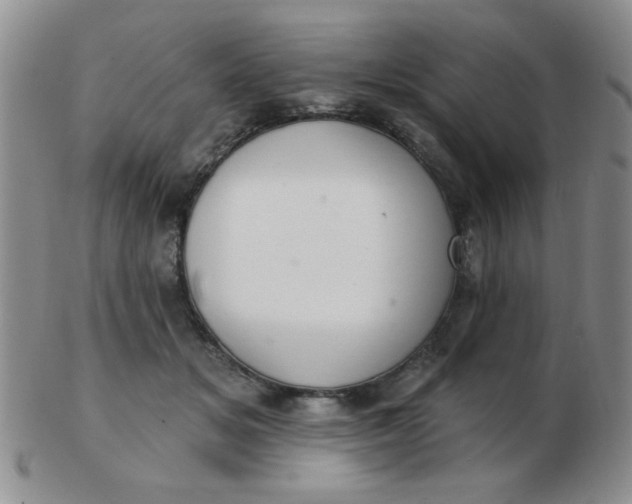 X0000103280509200809121948