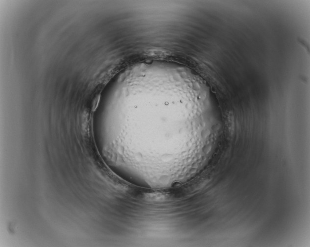 X0000103280511200809121948