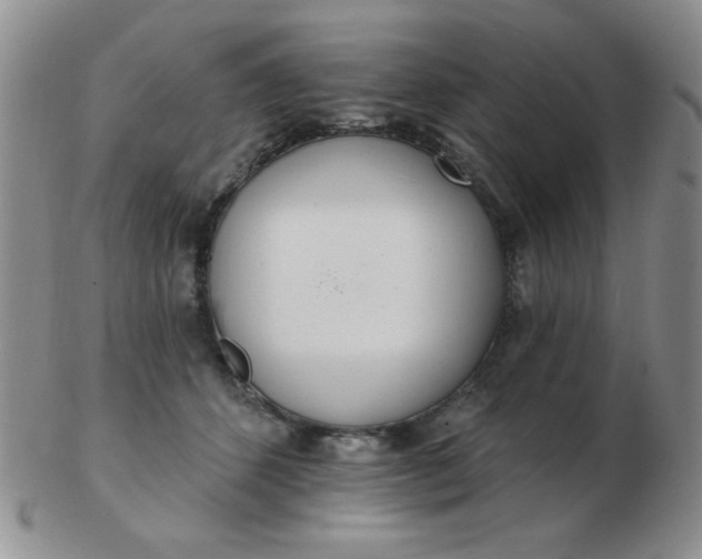 X0000103280512200809121948