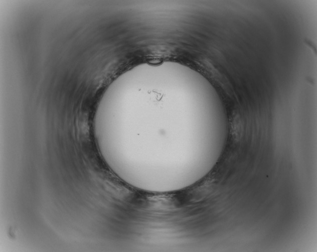 X0000103280516200809121948