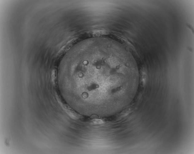 X0000103280519200809121948