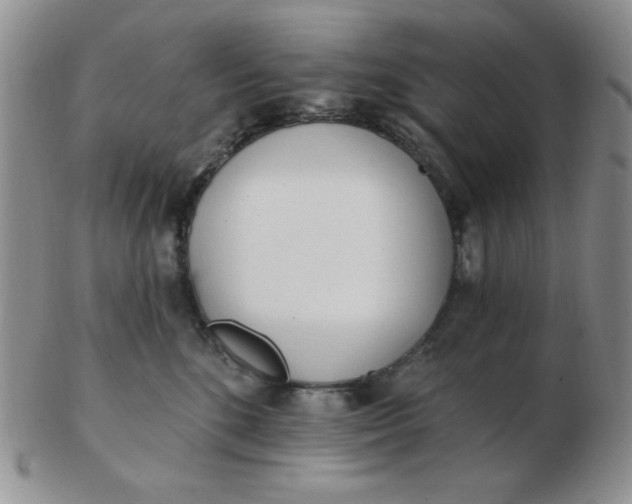 X0000103280520200809121948