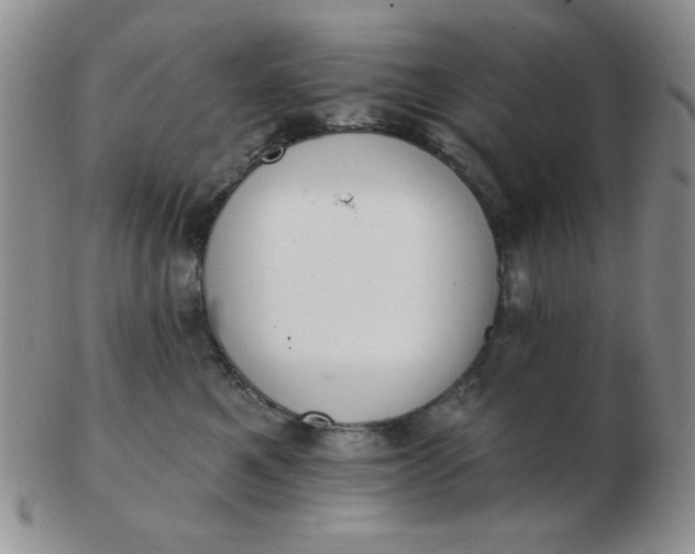 X0000103280521200809121948