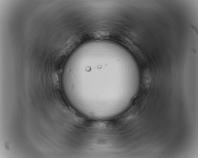 X0000103280523200809121948