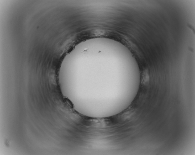 X0000103280524200809121948