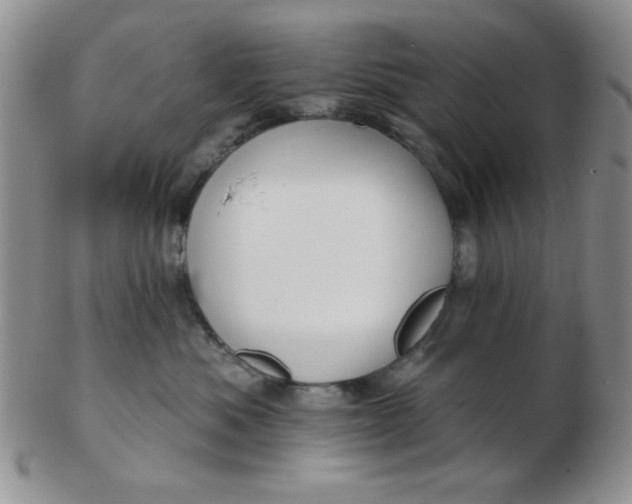 X0000103280525200809121948