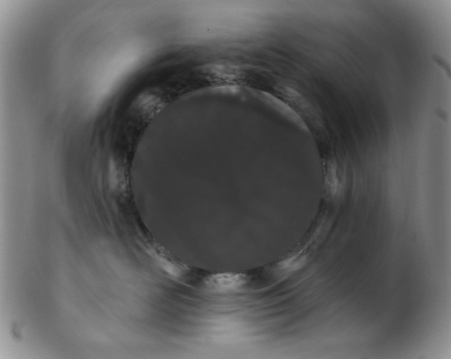 X0000103280526200809121948