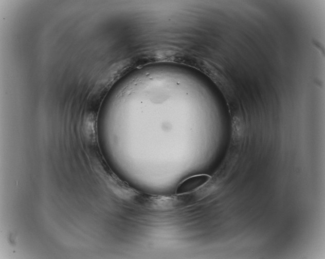 X0000103280527200809121948