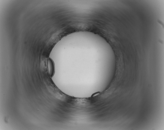 X0000103280528200809121948