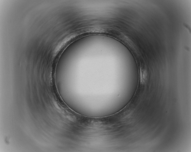 X0000103280531200809121947