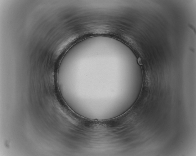 X0000103280535200809121947