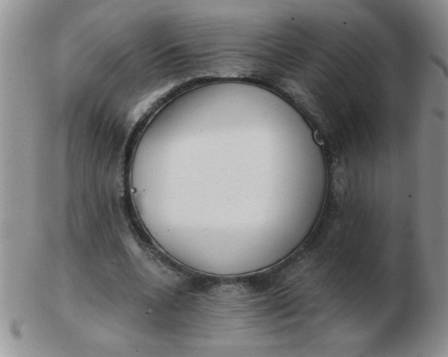 X0000103280536200809121947