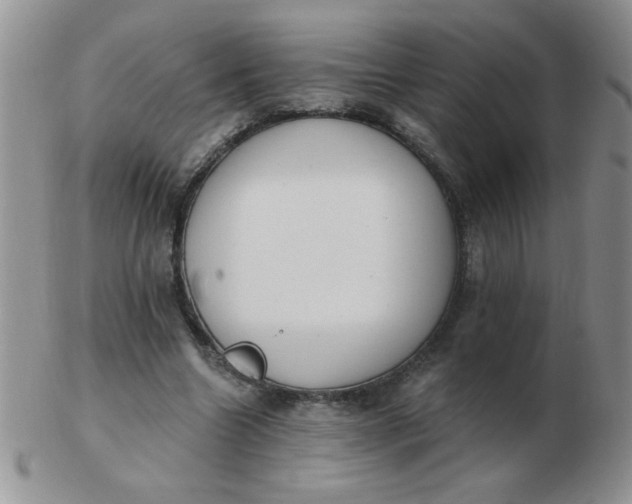 X0000103280538200809121947